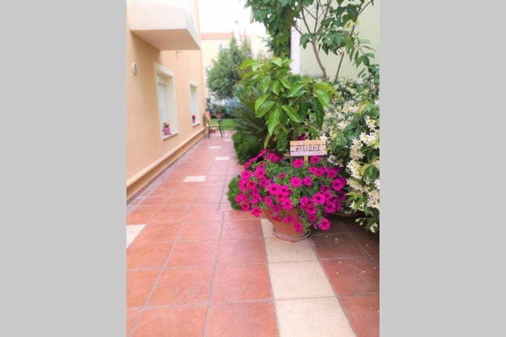 Relaxing Holidays In Nea Irakleitsa Nea Iraklitsa Ngoại thất bức ảnh